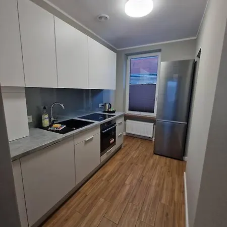 Lux Wyposazone, Duze Mieszkanie W Samym Centrum アパート *